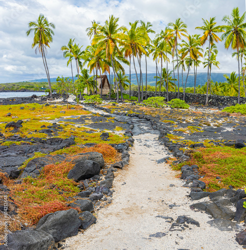 Ancient Pathway Through The Royal Grounds Near  The Sacred Temple, Hale o Keawe Heiau, Puuhonua o Honaunau NHP, Hawaii Island, Hawaii, USA photo