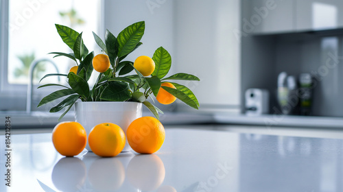 Detalhes interiores de cozinha minimalista moderna. Elegante bancada de quartzo branco com vasos de plantas e laranjas photo