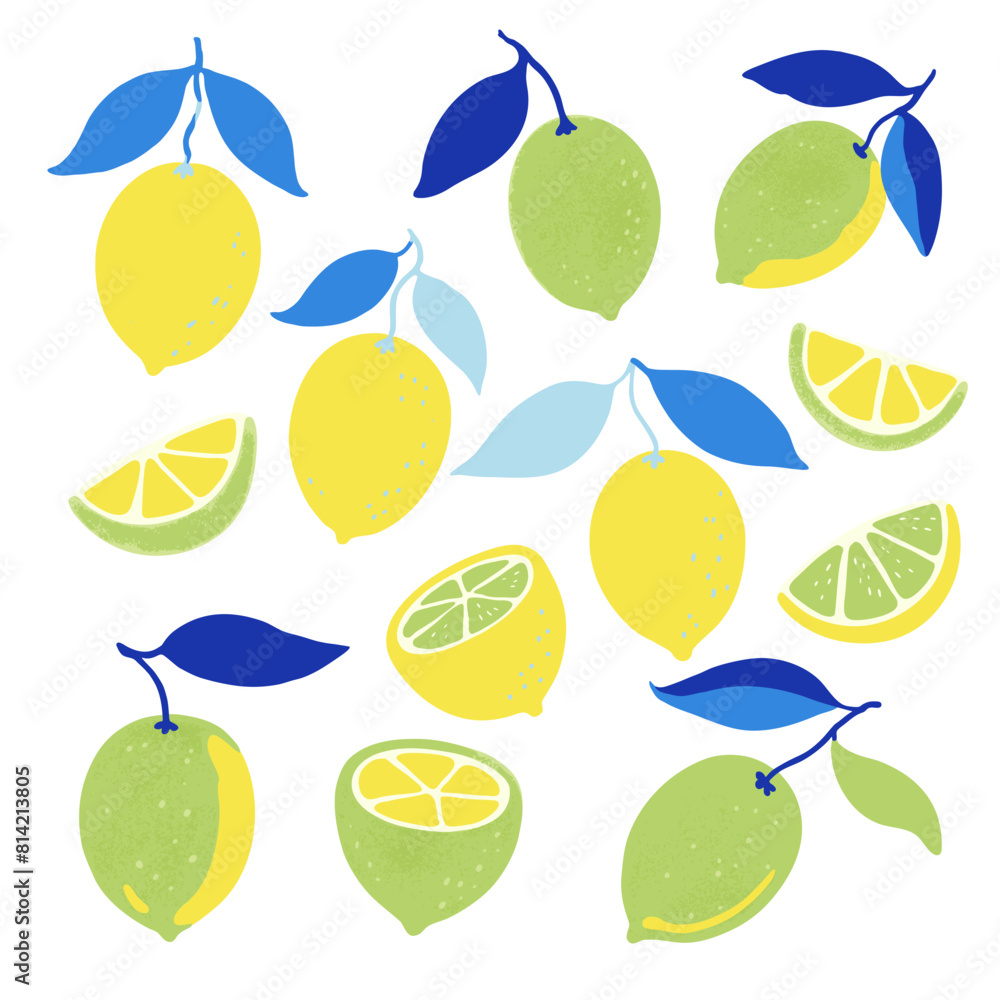 Set of lemon fruits and branches. Vector illustration in contemporary minimalistic style. Set of lemon fruits and branches. Vector illustration in contemporary minimalistic style.