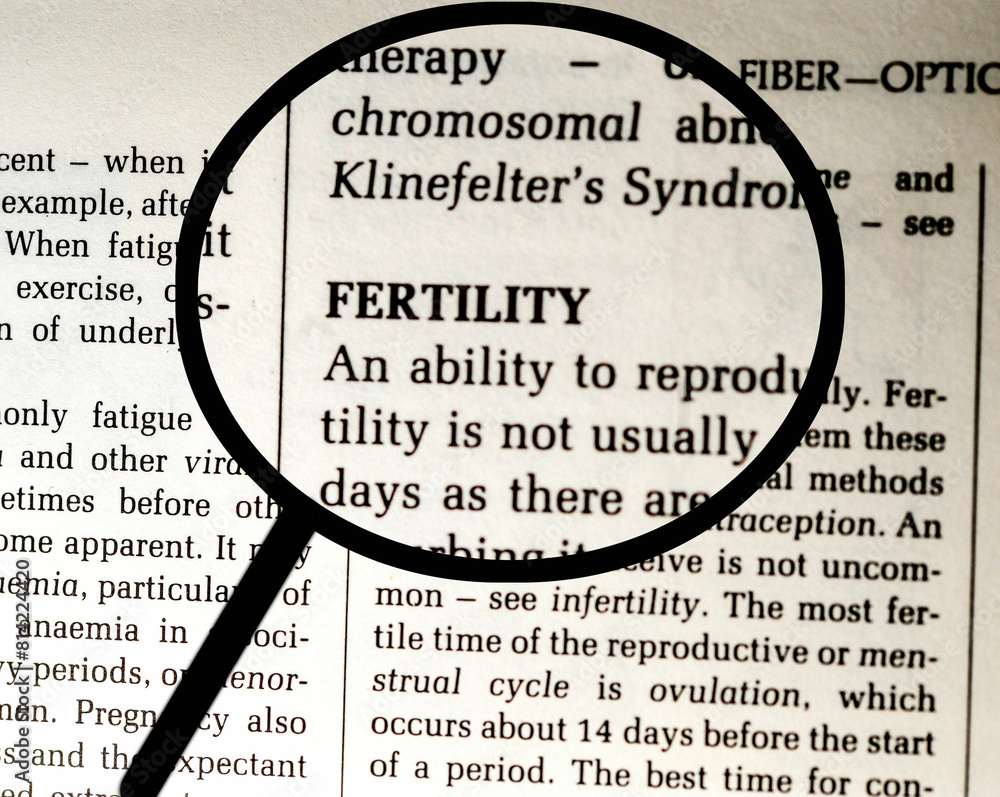 the word fertility in magnifying glass the word fertility in magnifying glass