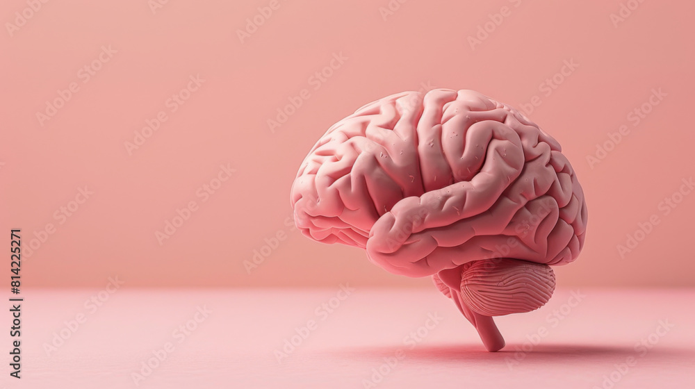 A highly detailed 3D rendering of a human brain in vibrant pink set against a soft pink background. A highly detailed 3D rendering of a human brain in vibrant pink set against a soft pink background.