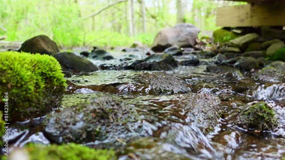 Stream Water Flowing Over Rocks and Moss Stream Water Flowing Over Rocks and Moss