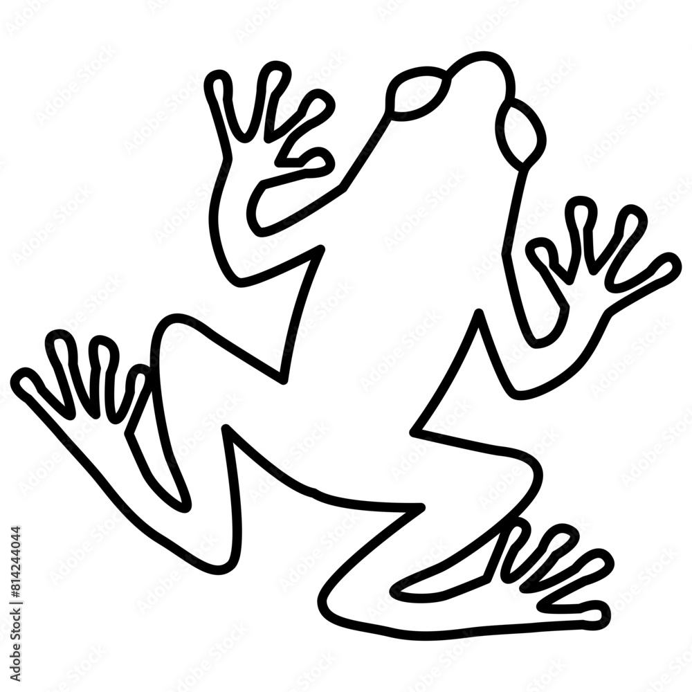 Fototapeta premium Frog