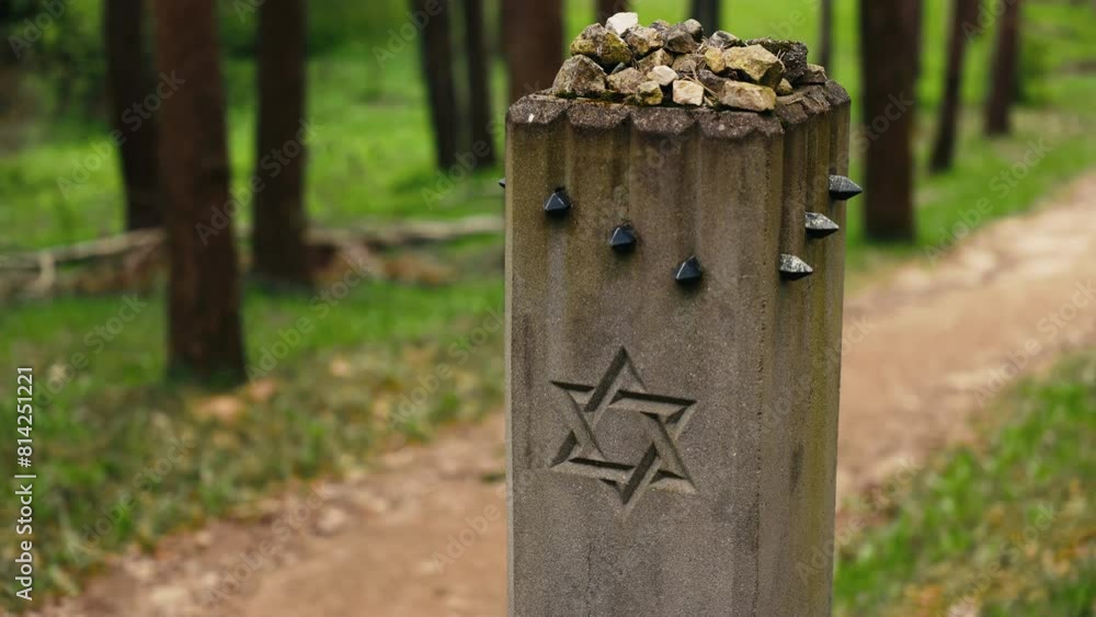 Forest Sanctuary: Jewish Genocide Memorial in Riga's Wilderness Forest Sanctuary: Jewish Genocide Memorial in Riga's Wilderness