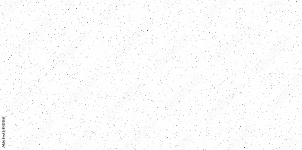 Obraz premium White wall stone concrete dust grunge paper texture background and terrazzo flooring texture polished stone pattern old surface marble background. Monochrome abstract dusty worn scuffed background.