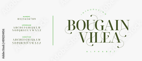 Bougainville elegant font alphabet uppercase lowercase and number. Classic lettering minimal fashion designs. Typography modern serif fonts regular decorative vintage concept. Vector illustration