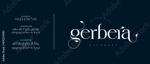 Garbera elegant font alphabet uppercase lowercase and number. Classic lettering minimal fashion designs. Typography modern serif fonts regular decorative vintage concept. Vector illustration
