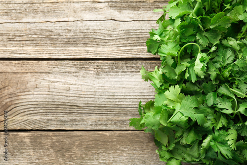 Fresh coriander on wooden table  top view. Space for text