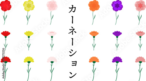 列に並んだカラフルなカーネーション　母の日　ギフト