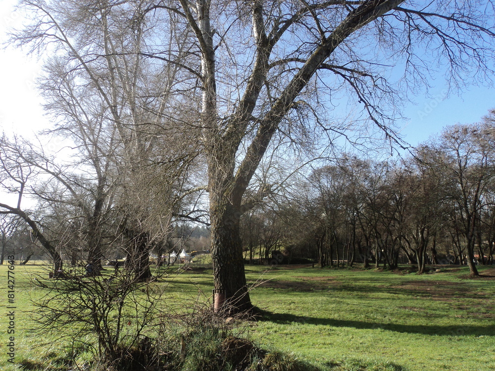 Fototapeta premium Ifrane, Morocco