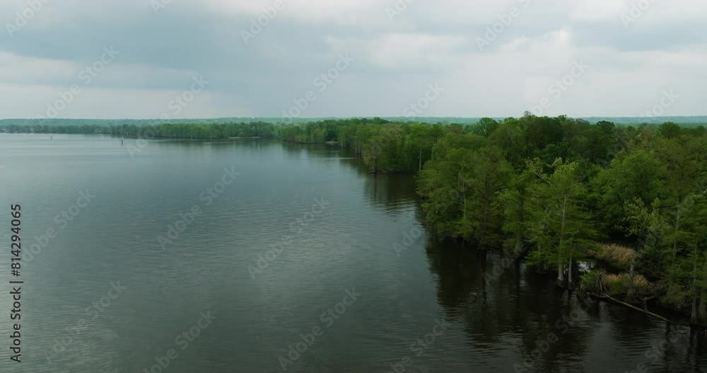 Tranquil Scene Of Nature At Reelfoot Lake State Park In Northwest Tennessee, USA. Aerial Drone Shot Tranquil Scene Of Nature At Reelfoot Lake State Park In Northwest Tennessee, USA. Aerial Drone Shot