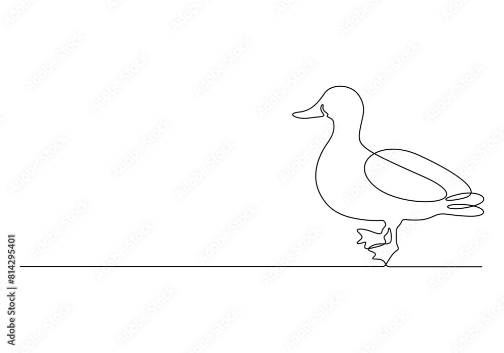 Continuous one line drawing of duck. Isolated on white background vector illustration Continuous one line drawing of duck. Isolated on white background vector illustration