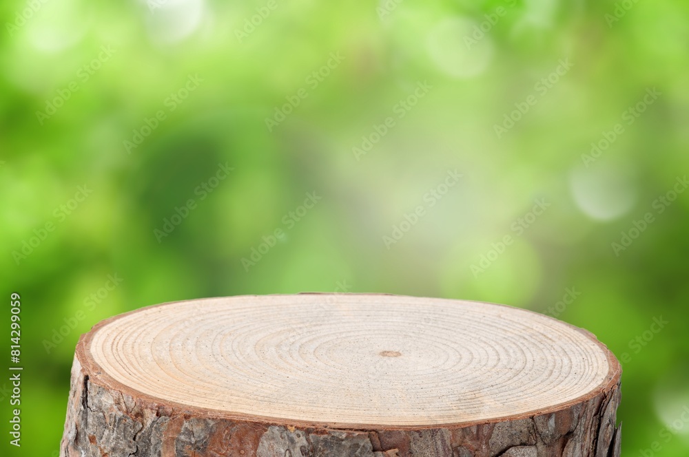 Wood tabletop round podium in outdoors background. Wood tabletop round podium in outdoors background.