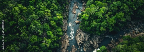 A rocky river in the middle of a forest. Aerial view of river reflecting sky  amid lush green landscape  aerial view. Top view of a mountain river in the forest. wide panoramic