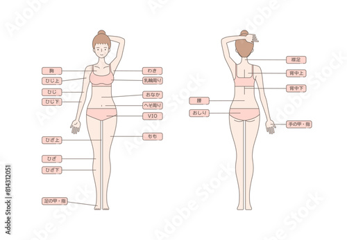 女性の脱毛のイラスト 全身