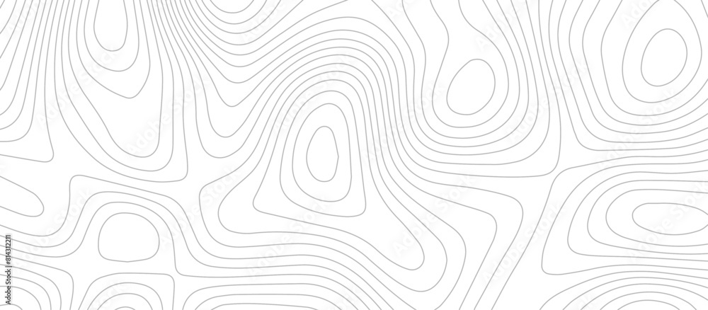 Abstract wave paper curved reliefs background .gradient multicolor wave curve lines banner background design .topographic contours map background .Vector geographic contour map. Abstract wave paper curved reliefs background .gradient multicolor wave curve lines banner background design .topographic contours map background .Vector geographic contour map.