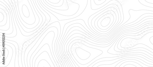 Abstract wave paper curved reliefs background .gradient multicolor wave curve lines banner background design .topographic contours map background .Vector geographic contour map.
