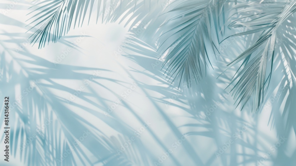 Abstract background with palm leaves shadows on white wall minimalist Abstract background with palm leaves shadows on white wall minimalist