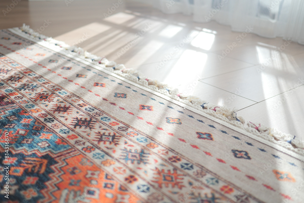 A patterned rug rests on the flooring beside a mirror