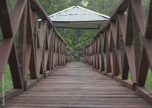 view of wooden bridge from low angle with gazebo and green rainforest in the background photo