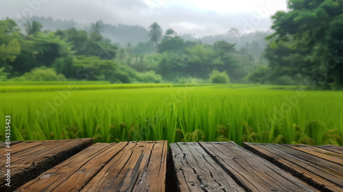 Wooden planks foreground a vibrant view of lush, green rice paddies surrounded by misty hills, depicting serene rural tranquility.