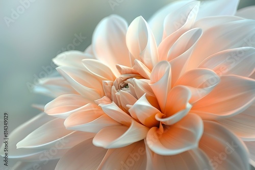 Delicate Blooming Flower with Soft,Ethereal Petals Evoking a Sense of Tranquility © TEERAWAT