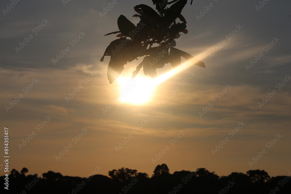 Sunset sky for background or sunrise sky and cloud at morning. Sunset sky for background or sunrise sky and cloud at morning.