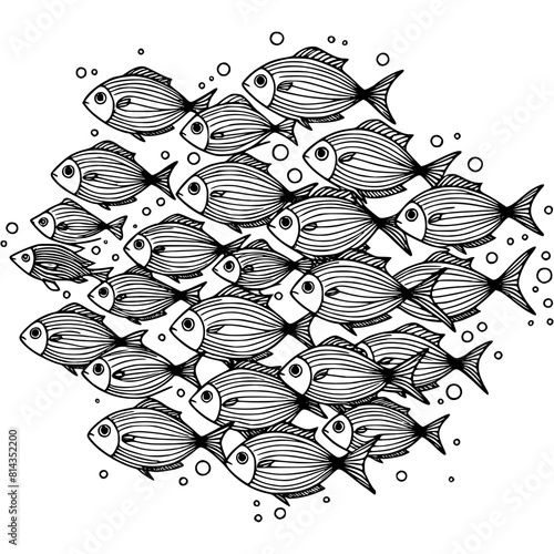 River and lake fish in monochrome. Large school of swimming salmon fish. Simple minimalistic vector in black ink drawing on transparent background