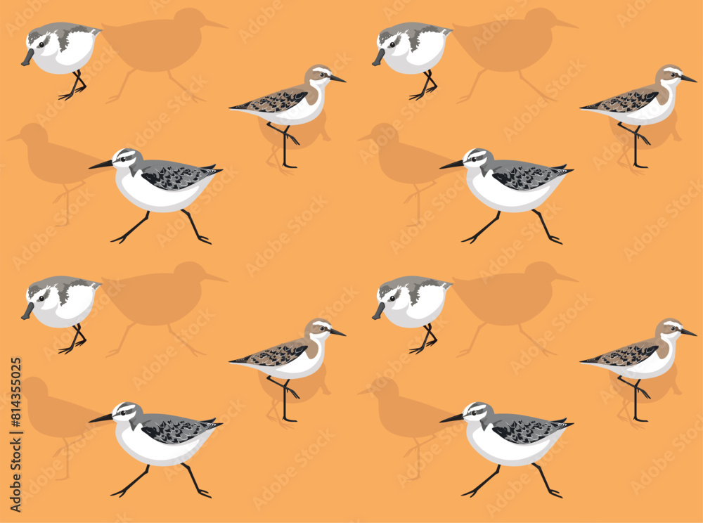 Obraz premium Bird Sandpiper Sanderling Cartoon Cute Seamless Wallpaper Background