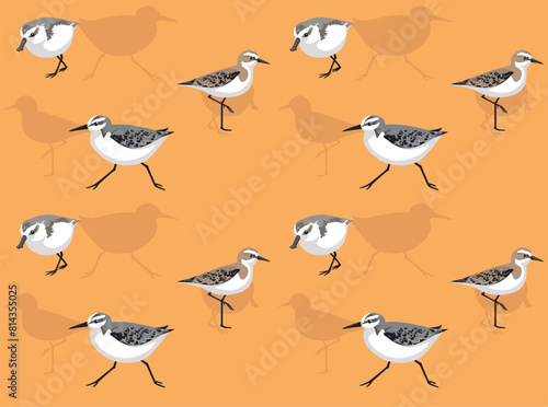 Bird Sandpiper Sanderling Cartoon Cute Seamless Wallpaper Background © bullet_chained