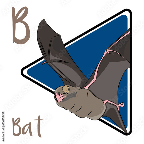 Bats are the only mammals that can undertake true powered flight. Many bat species use sound to find their way around in the dark and to catch prey to eat. This is known as echolocation.