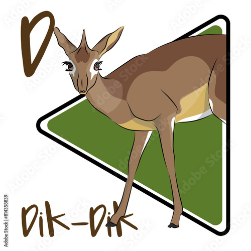 Dik-diks are tiny antelopes that vary in color depending on their habitat. The most distinguishing feature is their elongated snout. Only male dik-diks have corrugated horns.