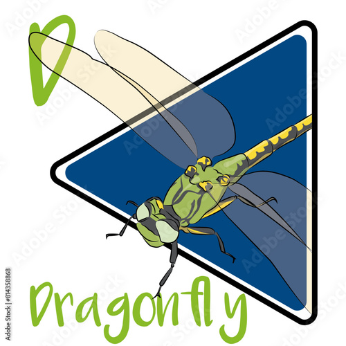 PrintA dragonfly is a flying insect that is found on every continent with the exception of Antarctica. Young dragonflies, called larvae or sometimes nymphs or naiads, are aquatic. 