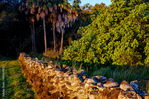 wall built by blackbirding South sea islanders in bargara, near bundaberg, queensland photo