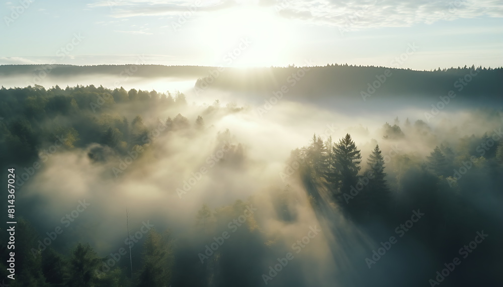 aerial view on green forest, generative ai aerial view on green forest, generative ai