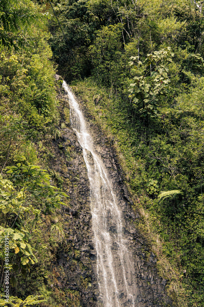 Waterfall in the Forest Waterfall in the Forest