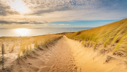 Path cutting through a golden sand dune 