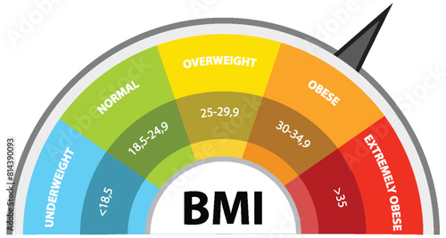 Colorful BMI gauge showing weight categories