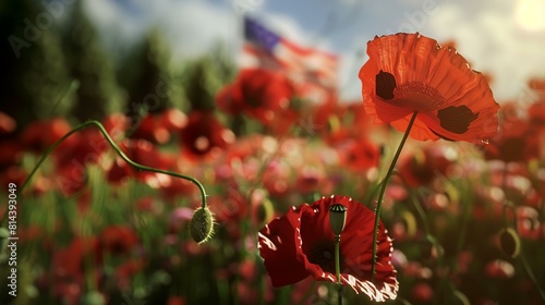 poppy flowers on the background of the flag of the United States of America © Sumera