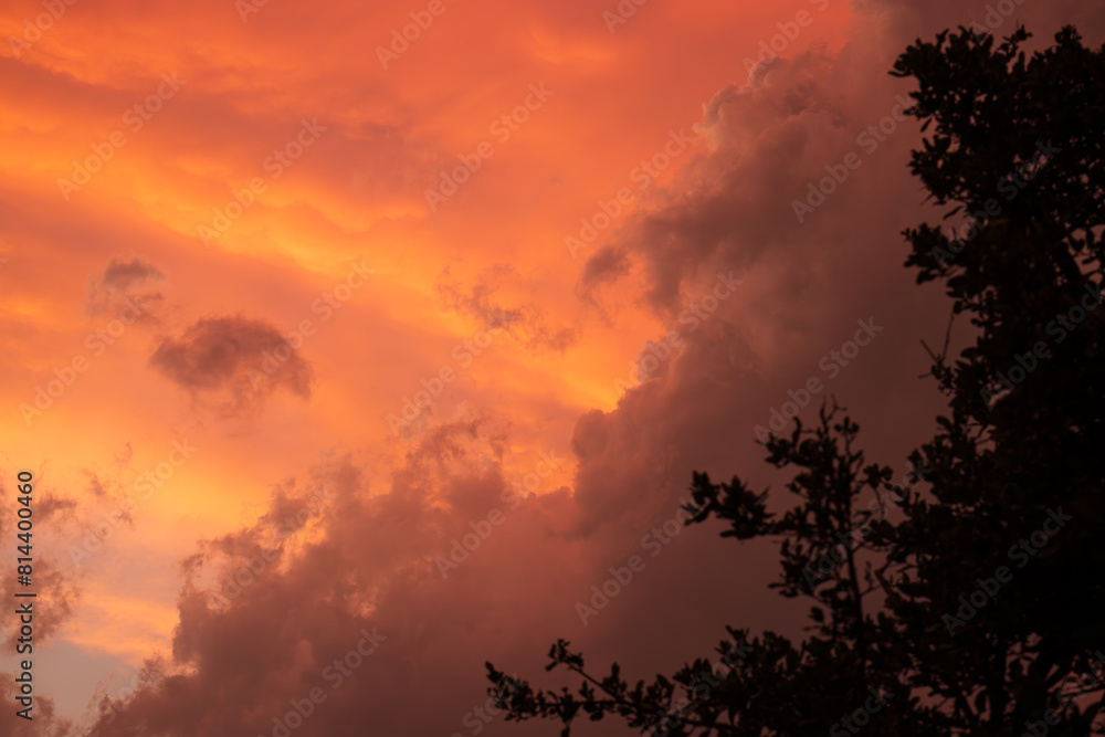Vibrant orange and pink hues dominate the sky as clouds are illuminated by the setting sun. The silhouette of tree branches can be seen in the lower right corner. Vibrant orange and pink hues dominate the sky as clouds are illuminated by the setting sun. The silhouette of tree branches can be seen in the lower right corner.
