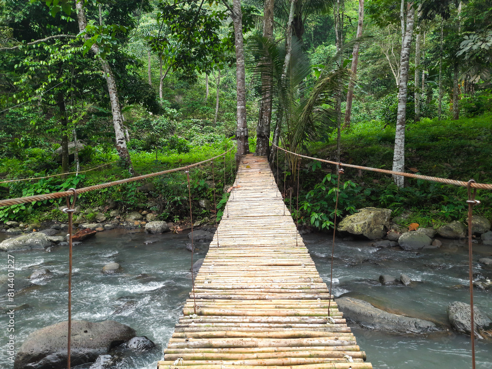 Obraz premium the views of bamboo bridge on the river