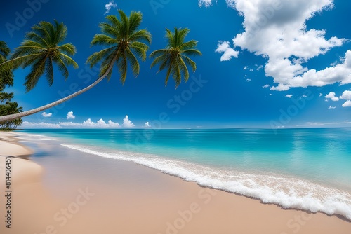 tropical beach