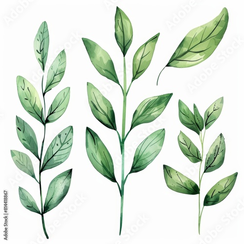Elegant Botanical Elements for Design and Decoration Generative AI