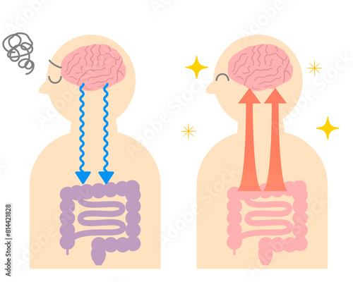 How stress causes stomach aches, and the relationship between the brain and the gut. Illustration of the gut-brain connection