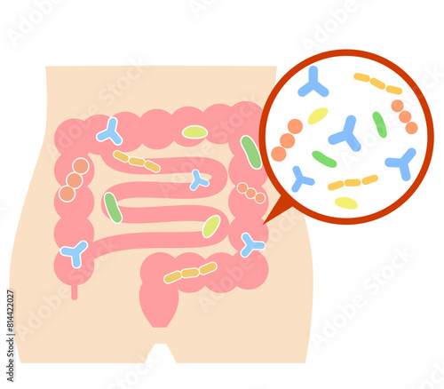 Illustration of intestinal bacteria living in the gut. stomach.