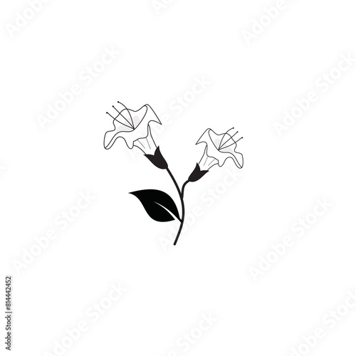 trumpet flower vector images