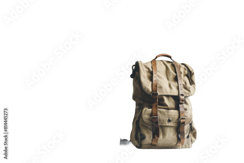 Tan Backpack on White Background