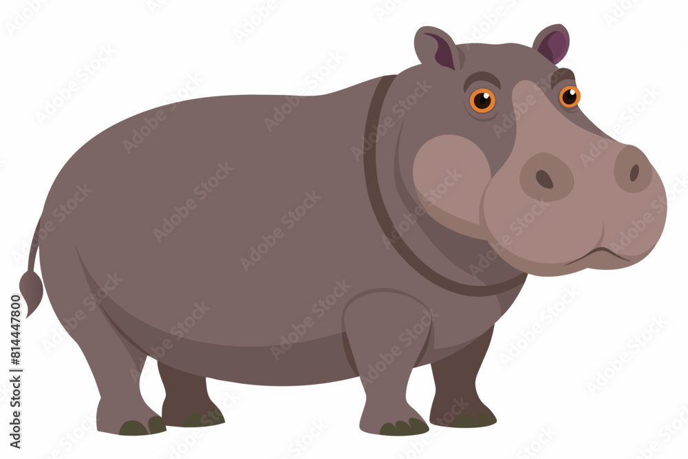 hippopotamus cartoon vector illustration hippopotamus cartoon vector illustration