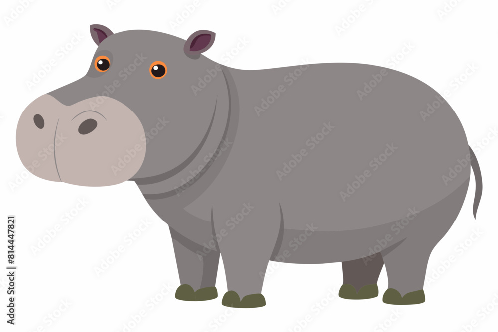 hippopotamus cartoon vector illustration hippopotamus cartoon vector illustration