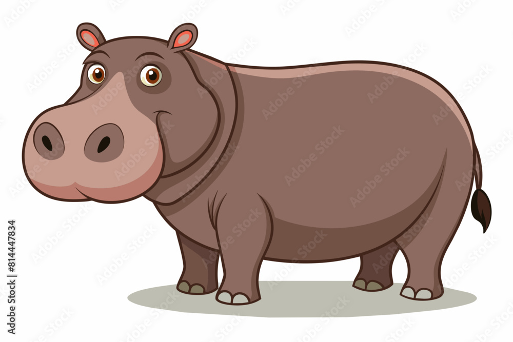 hippopotamus cartoon vector illustration hippopotamus cartoon vector illustration